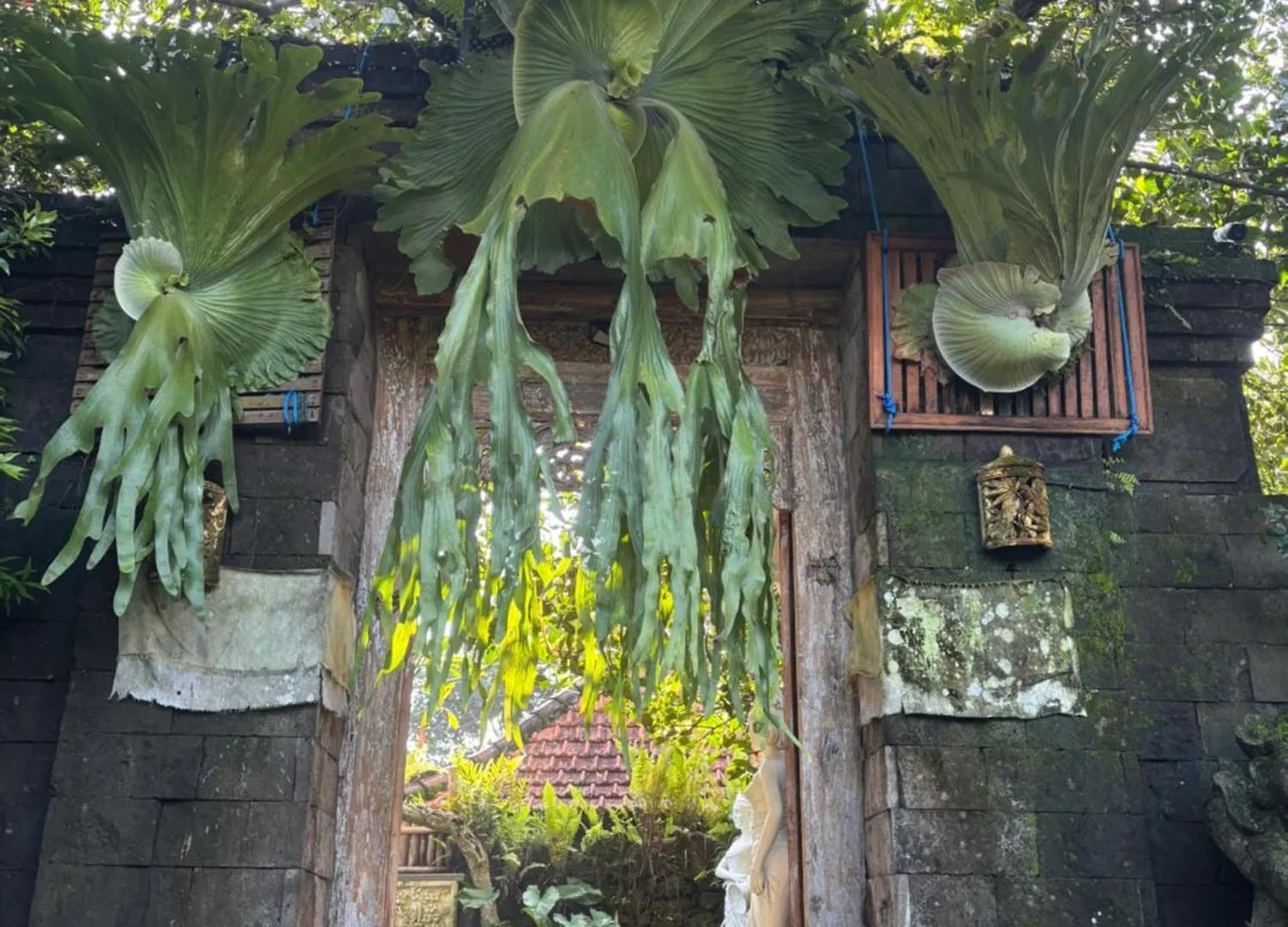 Bumbung Sari Villa Ubud